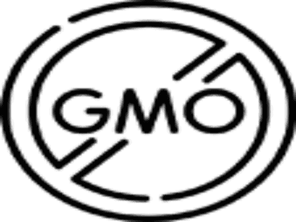 Organic Shea Butter Infused Body Lotion - 7  Fragrances - for Men